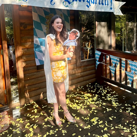 Markarian Celestia Brocade Mini Dress - Picture 4 of 4